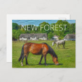 New Forest Ponies Postkarte (Vorne/Hinten)
