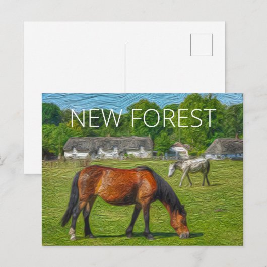 New Forest Ponies Postkarte (Vorne/Hinten)