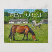 New Forest Ponies Postkarte (Vorderseite)
