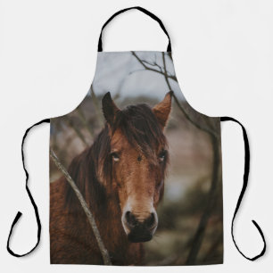 New-Forest-Pony-3 Schürze