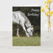 New Forest Pony Birthday Karte (Gelbe Blume)