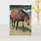 New Forest Pony Blank Karte (Gelbe Blume)