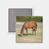 New Forest Pony Magnet (Vorderseite/Rückseite)