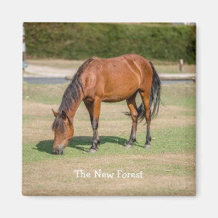 New Forest Pony Magnet