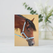 New Forest Pony Postkarte (Stehend Vorderseite)
