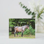 New Forest Pony Postkarte (Stehend Vorderseite)