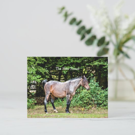 New Forest Pony Postkarte (Stehend Vorderseite)