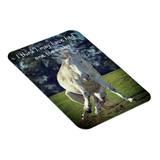 New Forest White Pony Funny Pose Magnet (Rechte Seite)