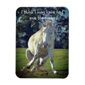 New Forest White Pony Funny Pose Magnet (Vertikal)