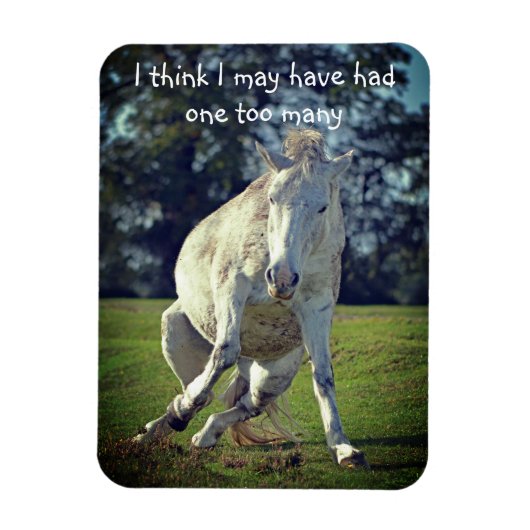 New Forest White Pony Funny Pose Magnet (Vertikal)