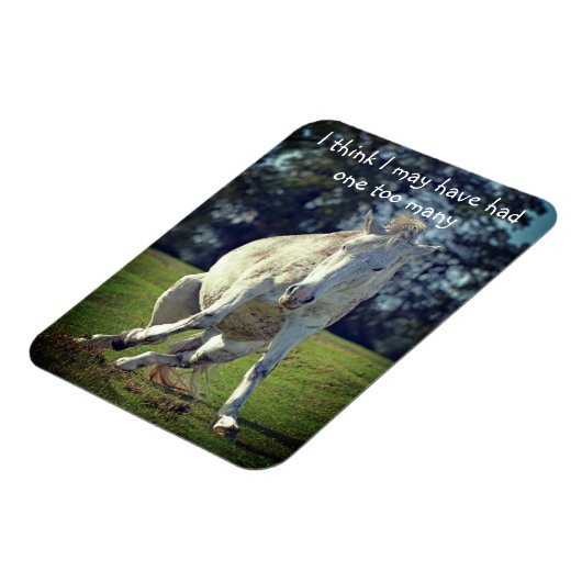 New Forest White Pony Funny Pose Magnet (Linke Seite)
