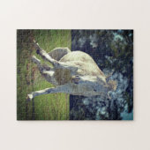 New Forest White Pony Funny Pose Puzzle (Horizontal)