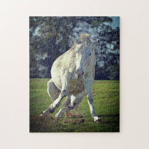 New Forest White Pony Funny Pose Puzzle