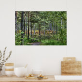 New Forest Woodland Trees Nature Scene, England Poster (Küche)