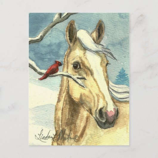 New Friend Wild Horse Post Card Postkarte (Vorderseite)