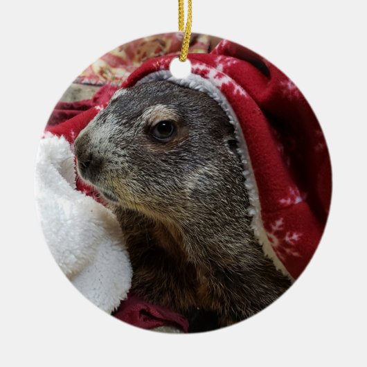 NEW! Groundhog Carrie Christmas Ornaming 2 Keramik Ornament (Vorne)