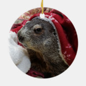 NEW! Groundhog Carrie Christmas Ornaming 2 Keramik Ornament (Hinten)