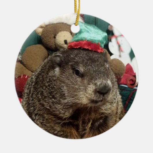 NEW!  Groundhog Moses Christmas Ornament (Vorne)