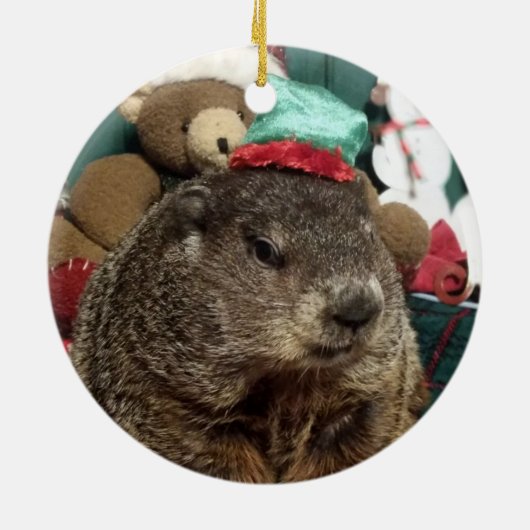 NEW! Groundhog Moses Christmas Ornament (Hinten)