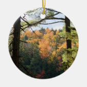New Hampshire 7729 Ornament (Vorne)