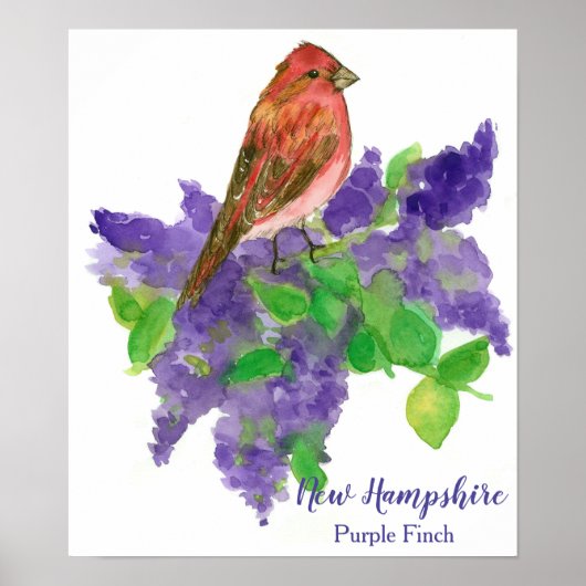 New Hampshire Bird Lila Finch Lilacs Poster (Vorne)