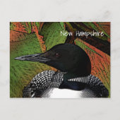 New Hampshire Common Loon Postkarte (Vorderseite)