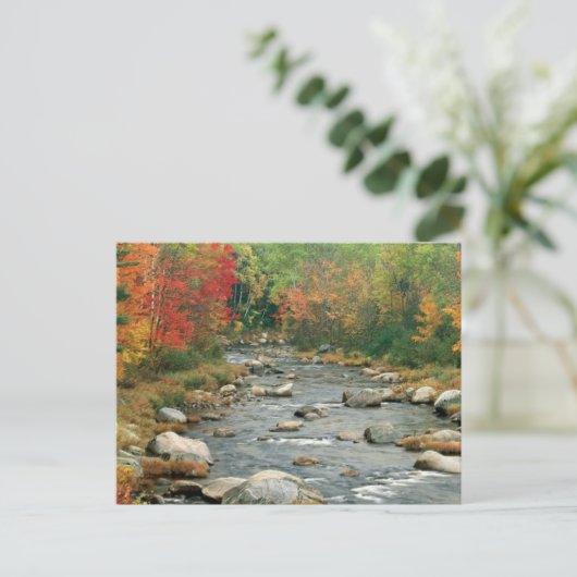 New Hampshire Fall Postkarte (Stehend Vorderseite)