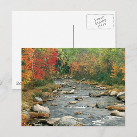 New Hampshire Fall Postkarte (Vorne/Hinten)