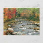 New Hampshire Fall Postkarte (Vorderseite)
