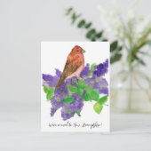 New Hampshire Finch Lilac Postkarte (Stehend Vorderseite)