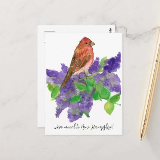 New Hampshire Finch Lilac Postkarte (Vorderseite/Rückseite Beispiel)