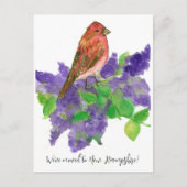New Hampshire Finch Lilac Postkarte (Vorderseite)
