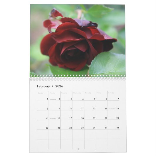 New Hampshire Flora Calendar 4 Kalender (Feb 2026)