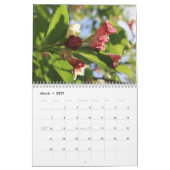 New Hampshire Flora Calendar 4 Kalender (Mär 2027)