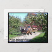 New Hampshire hayride Postkarte (Vorne/Hinten)