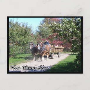New Hampshire hayride Postkarte