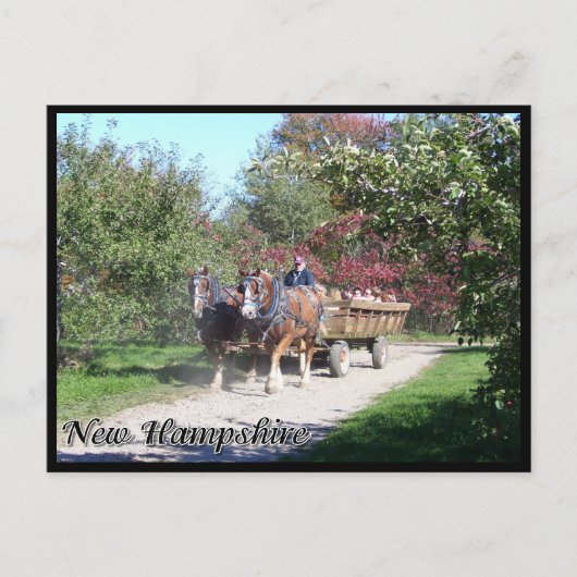 New Hampshire hayride Postkarte (Vorderseite)