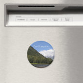 New Hampshire Kühlschrank Magnet (In Situ (Geschirrspüler))