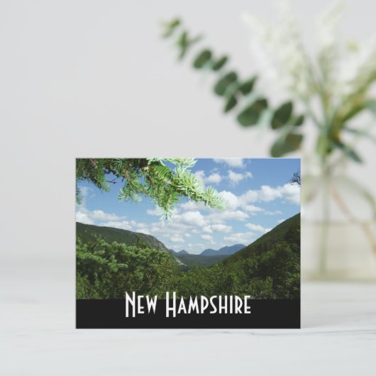 New Hampshire Postkarte (Stehend Vorderseite)