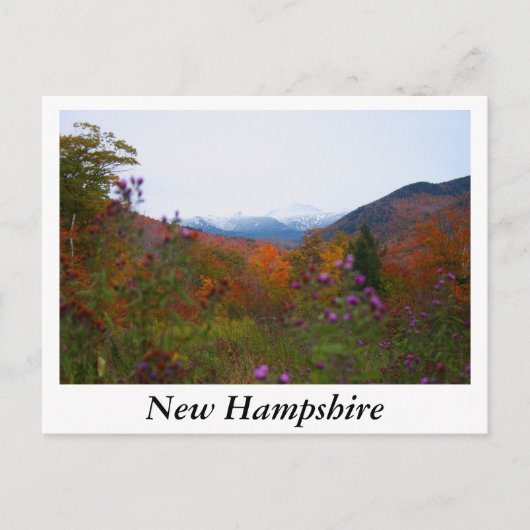 New Hampshire Postkarte (Vorderseite)