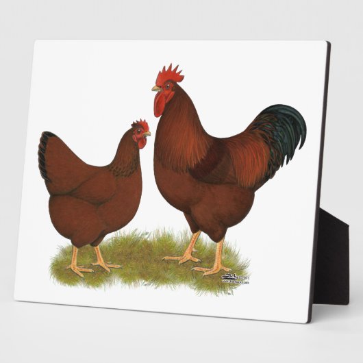 New Hampshire Reds Fotoplatte (Seite)