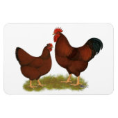 New Hampshire Reds Magnet (Horizontal)