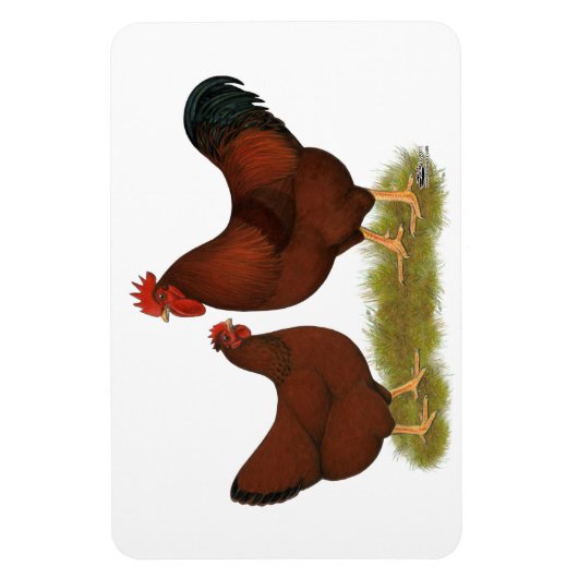 New Hampshire Reds Magnet (Vertikal)