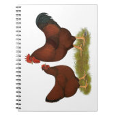 New Hampshire Reds Notizblock (Vorderseite)