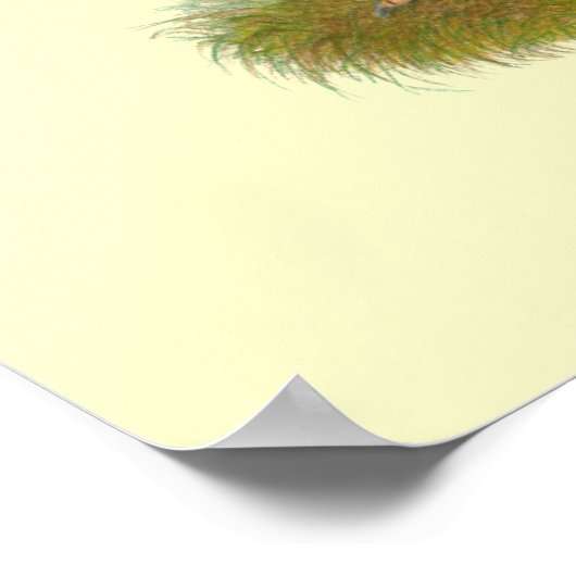 New Hampshire Reds Poster (Ecke)