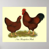 New Hampshire Reds Poster (Vorne)