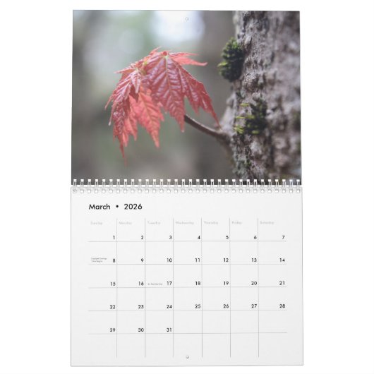 New Hampshire Seasons Kalender 2 (Mär 2026)