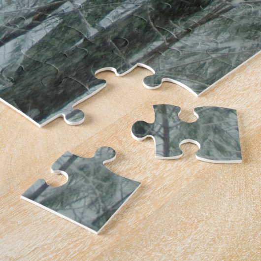 New Hampshire Snowfall Puzzle (Seite)