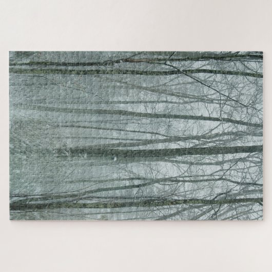 New Hampshire Snowfall Puzzle (Horizontal)