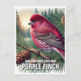 New Hampshire Staat Bird Lila Finish Postkarte